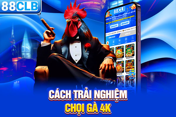 Cách trải nghiệm chọi gà 4K