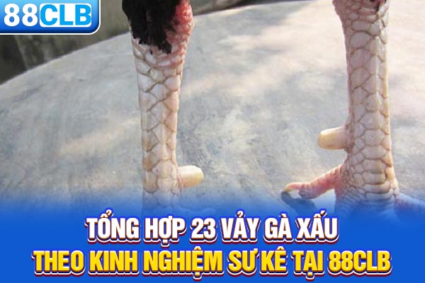 Tổng Hợp 23 Vảy Gà Xấu Theo Kinh Nghiệm Sư Kê Tại 88CLB
